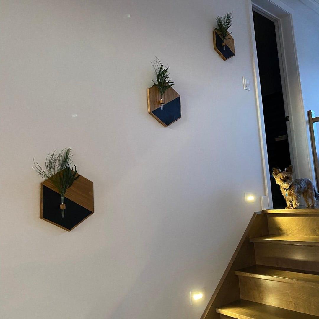 Modern Wood Wall Planters